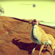 Illustration for article titled First day of No Mans Sky in screenshots (on PC)